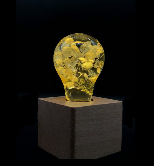 EP LIGHT  - Yellow Hydrangea-1